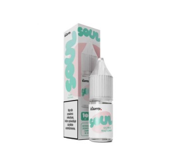 B25 KLARRO Soul 10ml - Guma Miętowa 20mg