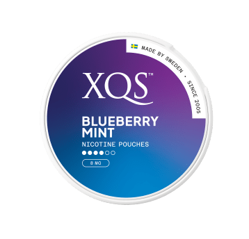 XQS Blueberry Mint Strong 8mg